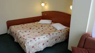 Апарт-отели Hotel Halny Карпач Двухместный номер «Комфорт» с 1 кроватью или 2 отдельными кроватями-1